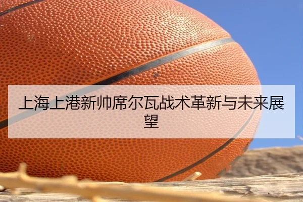 上海上港新帅席尔瓦战术革新与未来展望